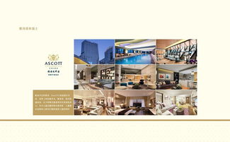 四川新視野酒店攜手艾迪塞斯設計 以專業管理賦能酒店行業新篇章